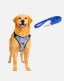 dog nebula blue harness with leash main