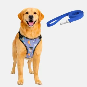 dog nebula blue harness with leash main