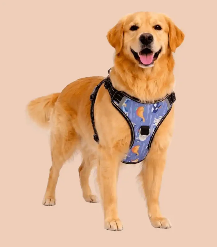 nebula paws dog vest