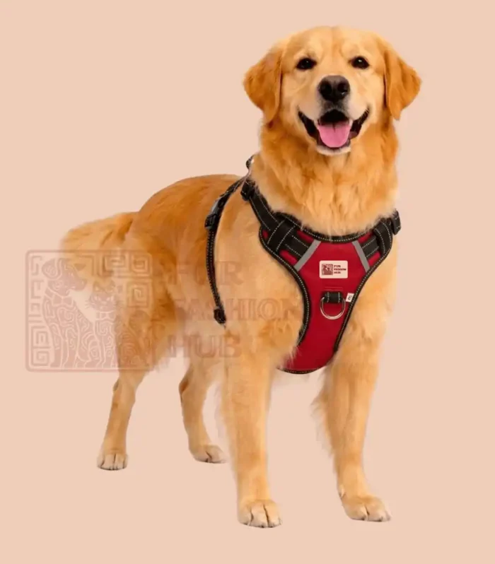 red color dog harness