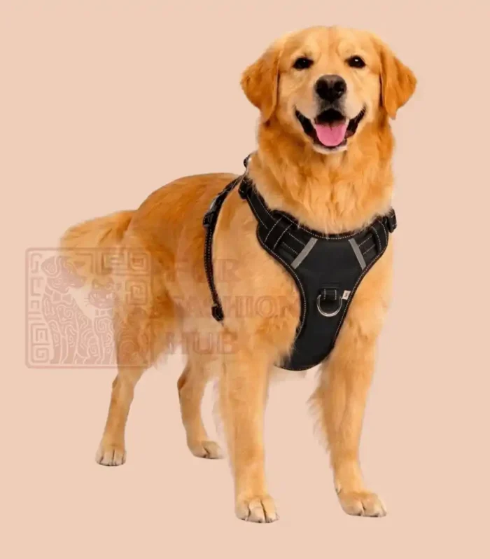 black color dog vest