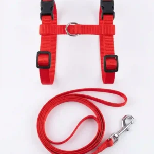cat red harness