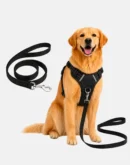 dog black harness with leash main