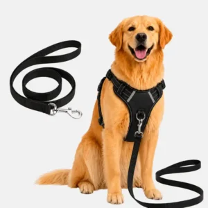 dog black harness with leash main