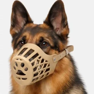 dog muzzle