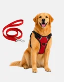 dog red harness with leash main