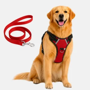 dog red harness with leash main