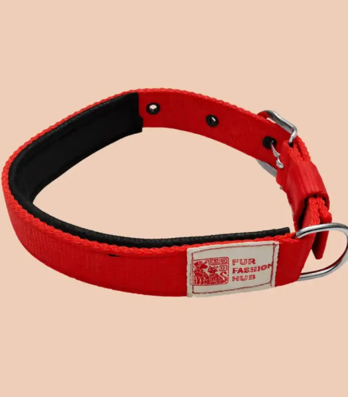 padded red dog collar