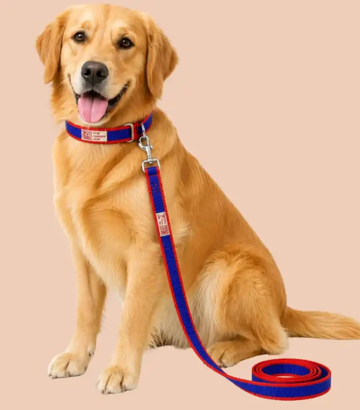 blue and red dog collar and lease set