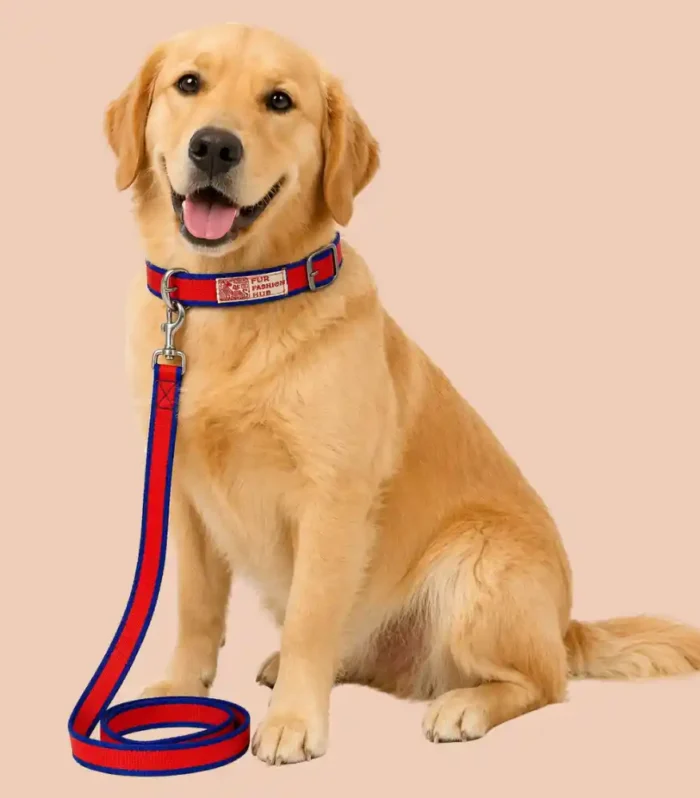 red and blue dog collar and lease set