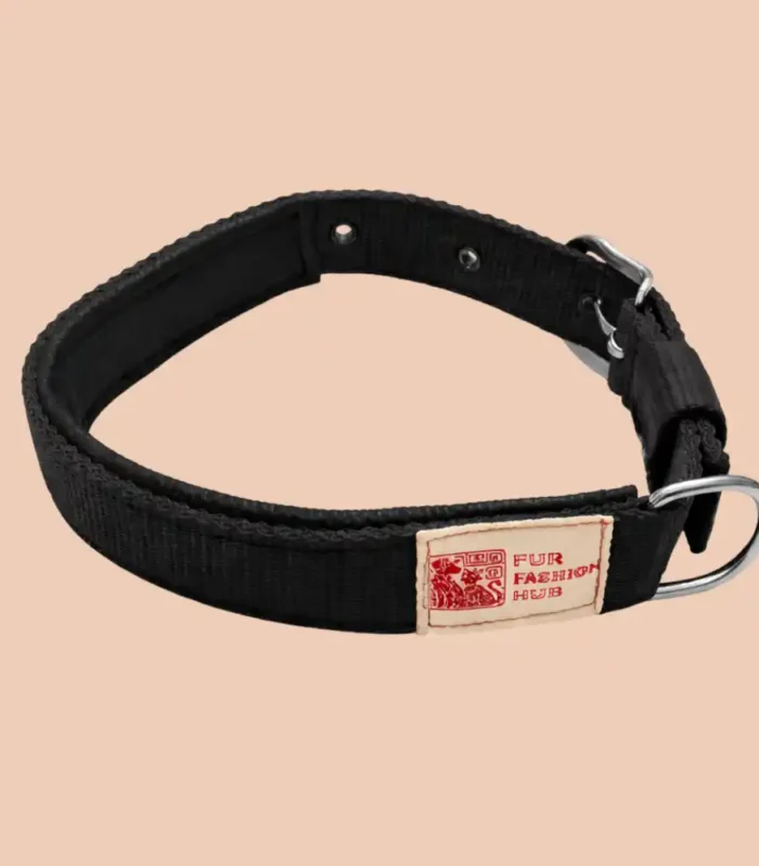 padded black dog collar