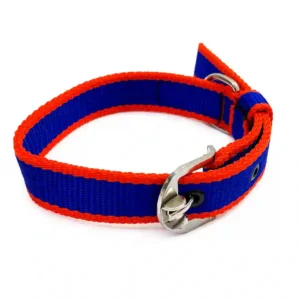 blue red dog collar