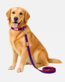 blue red dog collar and leash set main