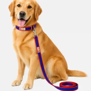 blue red dog collar and leash set main