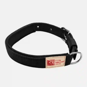 dog black padded collar main
