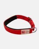 dog red padded collar main