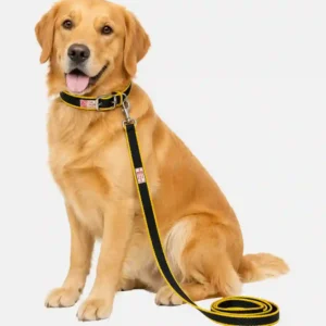 green yellow dog collar and leash set main
