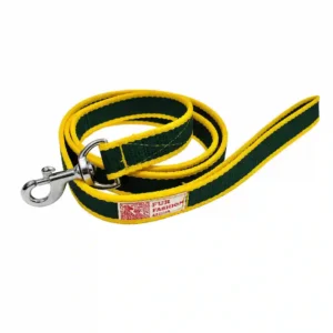 green yellow dog leash