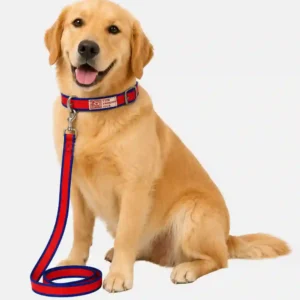 red blue dog collar and leash set main
