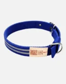 blue reflective big dog collar main