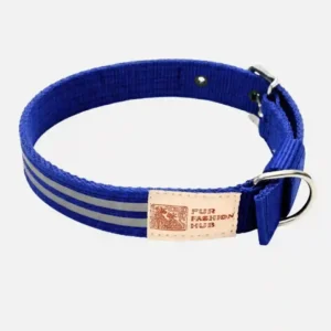 blue reflective big dog collar main