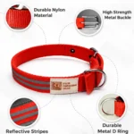 red reflective dog collar features