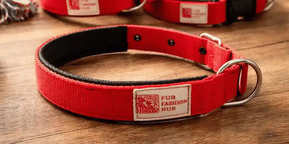 How to Choose the Right Collar for Your Dog