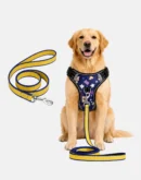 dog celestial harness main