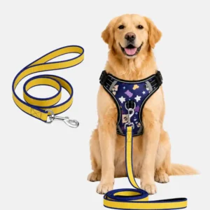 dog celestial harness main