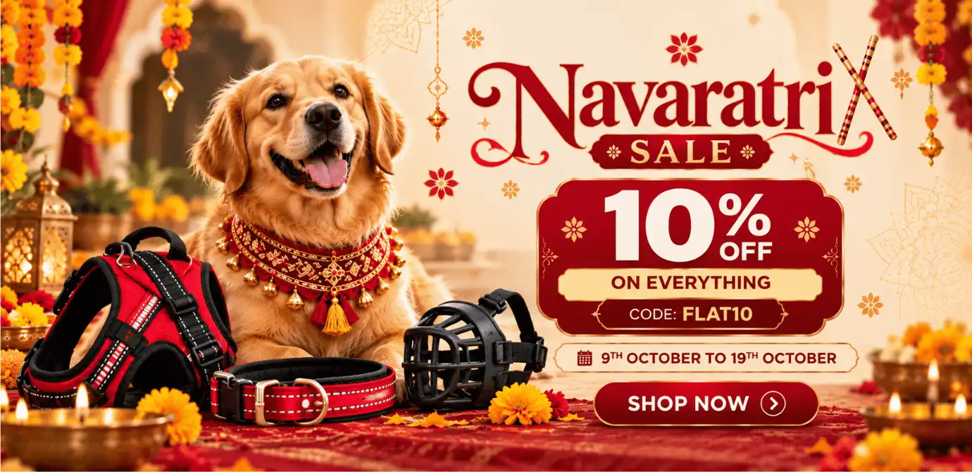 navaratri sale dog offer