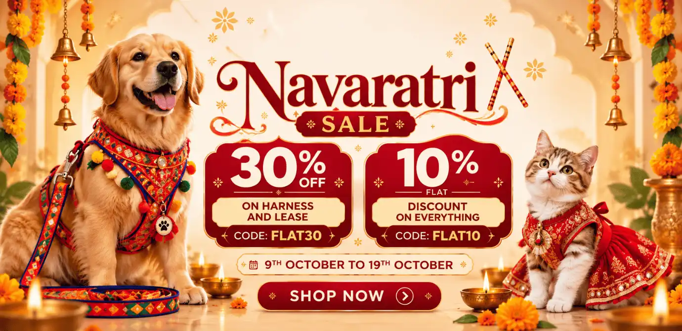 navaratri sale